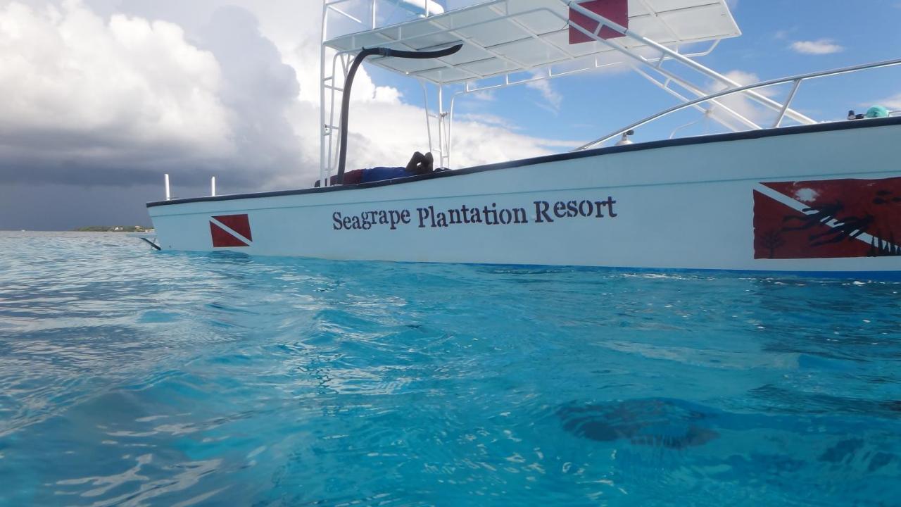 Seagrape Plantation Resort & Dive Center West End Eksteriør billede